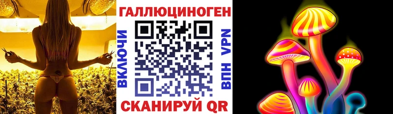 кракен как зайти  Холм  Галлюциногенные грибы Psilocybine cubensis 