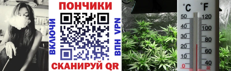 Шишки марихуана марихуана  где можно купить   Холм 